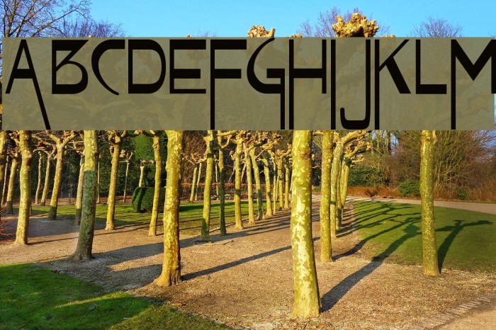 VireoFont Font examples