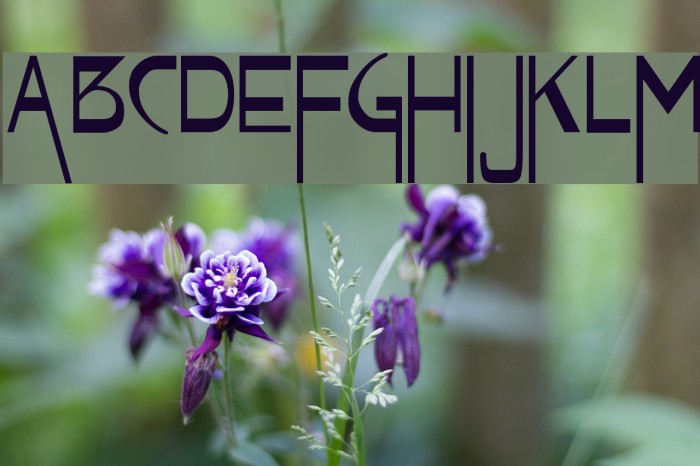 VireoFont Font examples