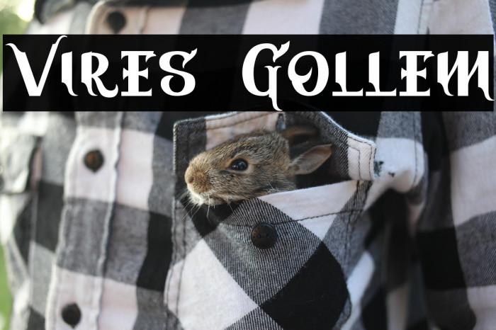 Vires Gollem Example 3