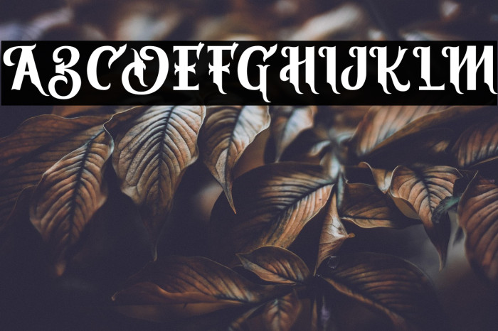 ViresGollem Example 1