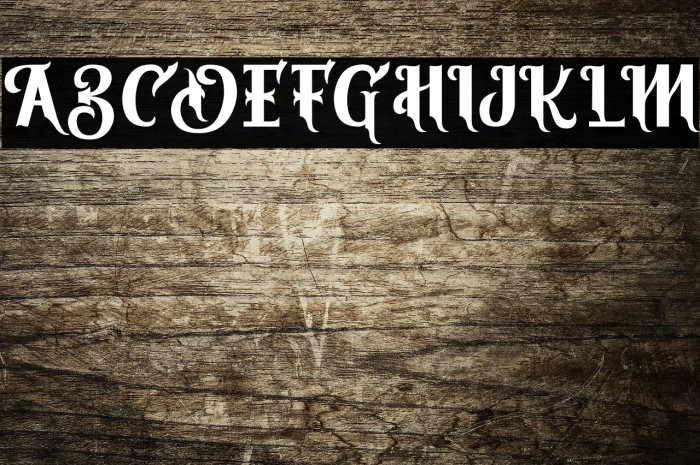 ViresGollem Example 2