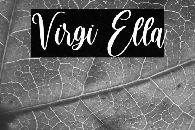 Virgi Ella Font examples