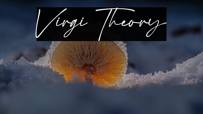 Virgi Theory Example 1