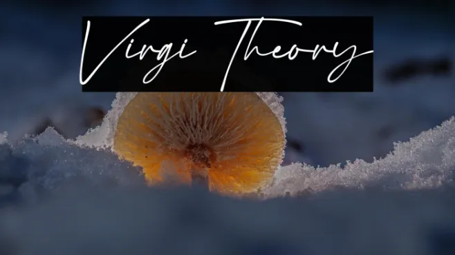 Virgi Theory Example 1