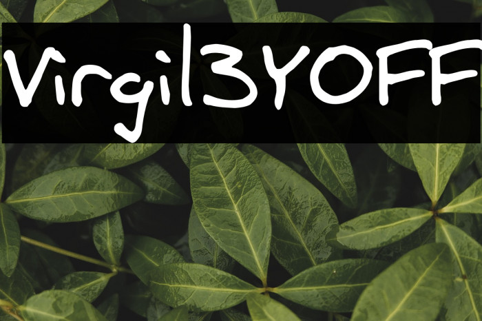 Virgil3YOFF Example 2