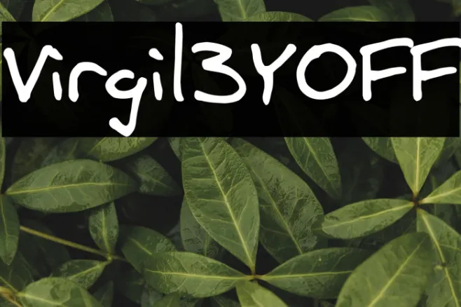 Virgil3YOFF Example 2