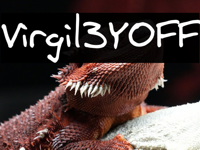 Virgil3YOFF Example 3