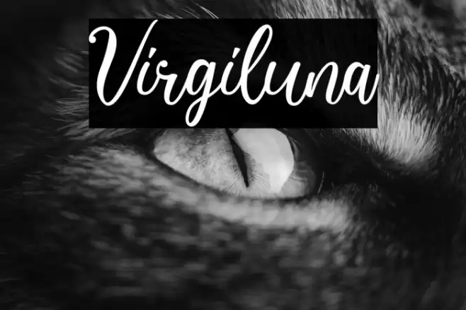 Virgiluna Font examples