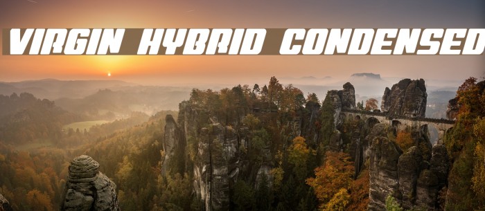 Virgin Hybrid Condensed Font examples