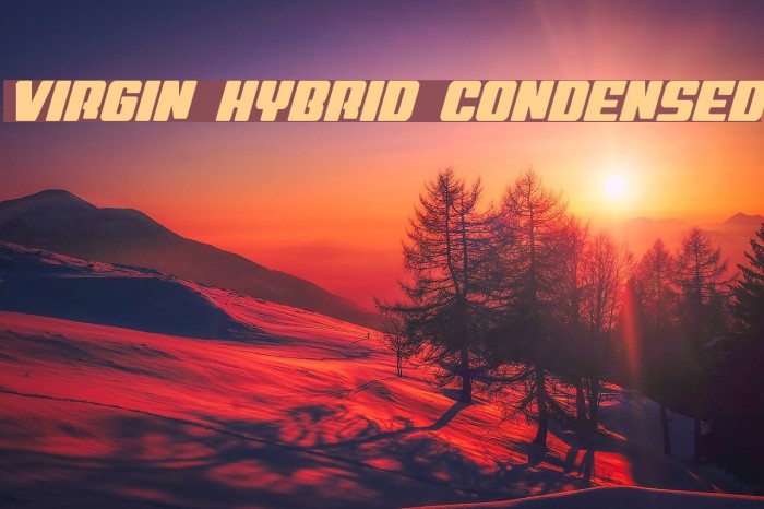 Virgin Hybrid Condensed Font examples