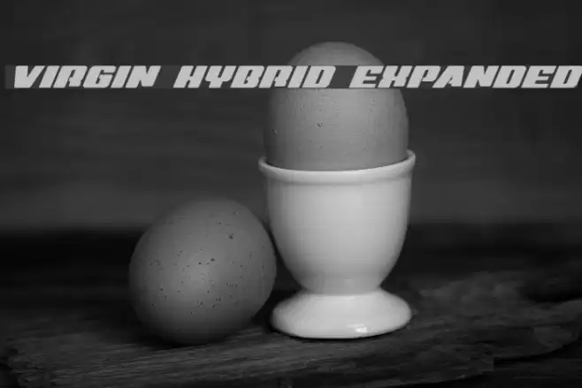 Virgin Hybrid Expanded Font examples