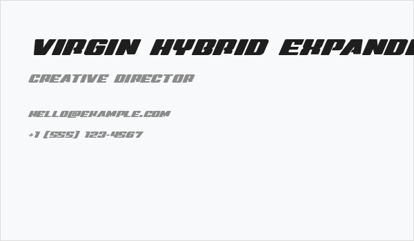Virgin Hybrid Expanded Business Card