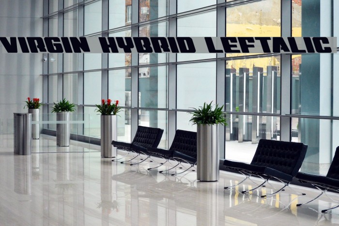 Virgin Hybrid Leftalic Font examples