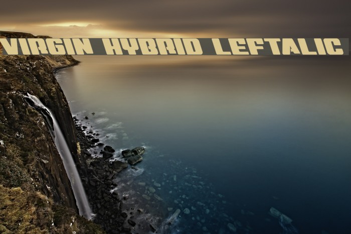Virgin Hybrid Leftalic Font examples