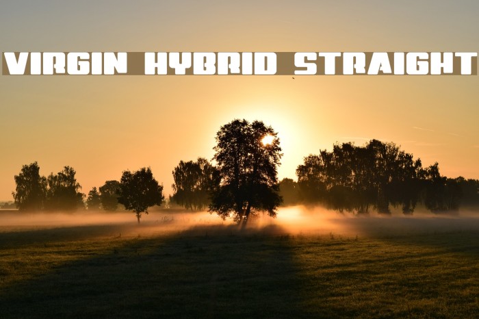 Virgin Hybrid Straight Font examples