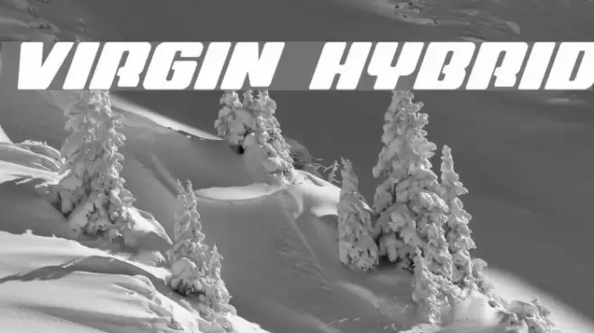 Virgin Hybrid Font examples