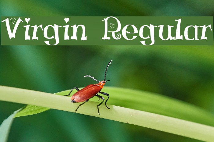 Virgin Regular Font examples