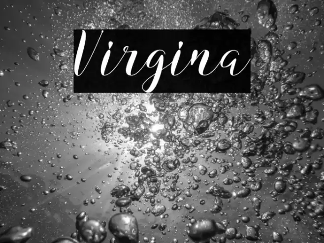 Virgina Font examples