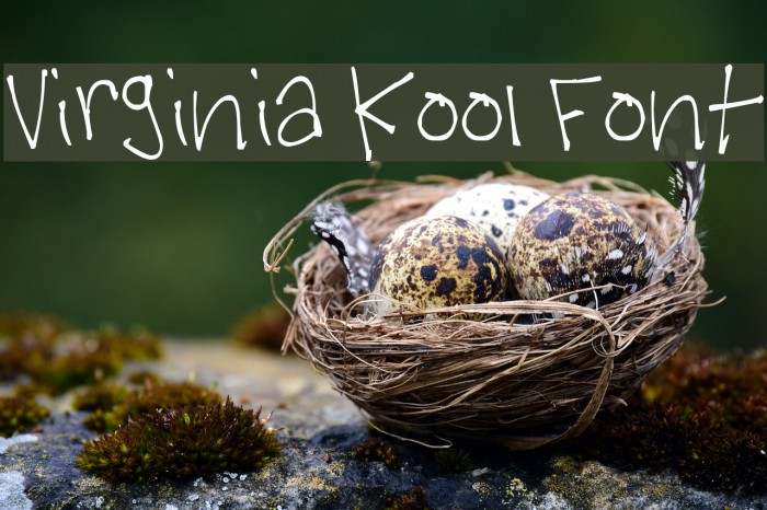 Virginia Kool Font Font examples