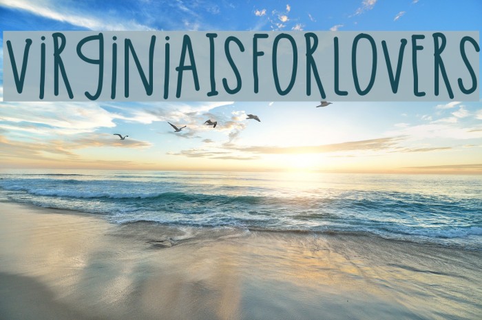 VirginiaIsForLovers Font examples