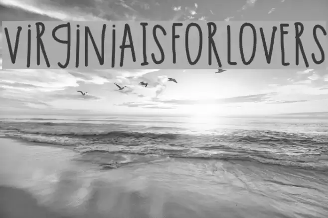 VirginiaIsForLovers Font examples