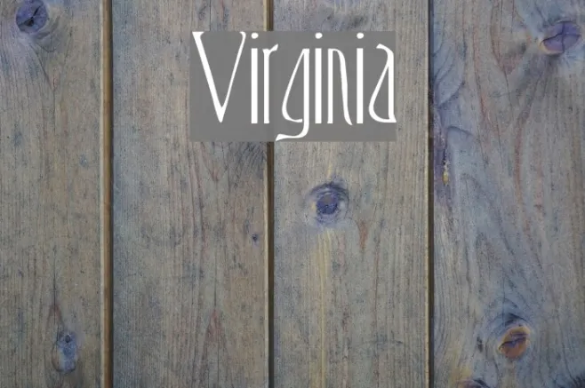 Virginia Example 1