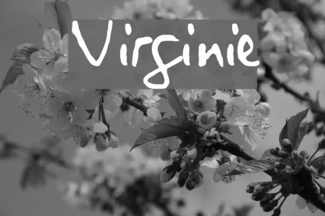 Virginie Font examples