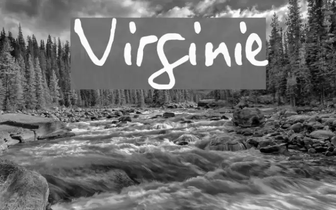 Virginie Font examples