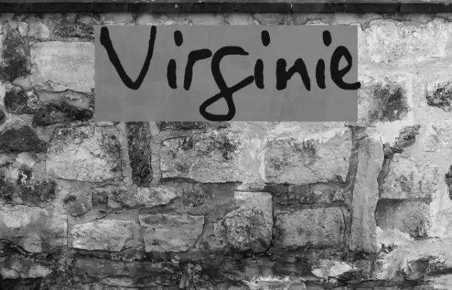 Virginie Font examples