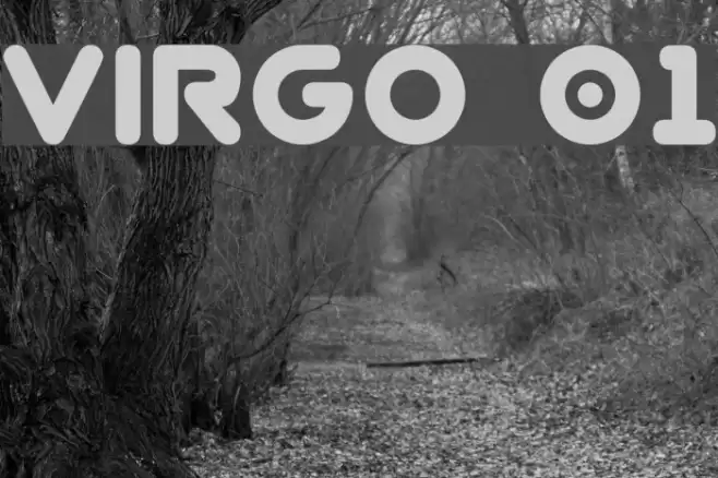 Virgo 01 Schriftart examples