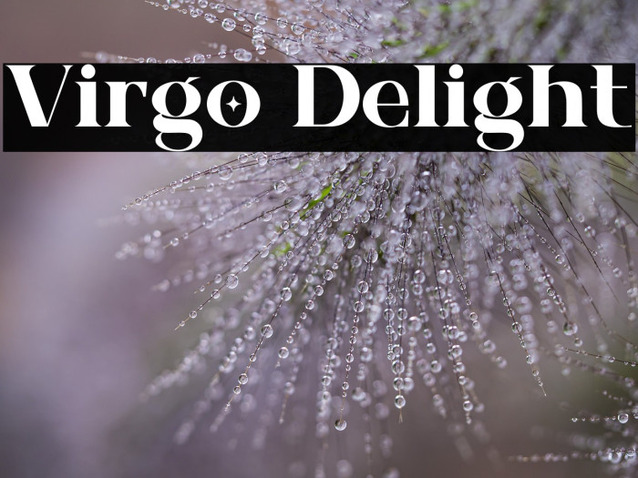 Virgo Delight Example 1