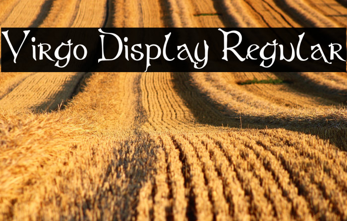 Virgo Display Regular Example 1