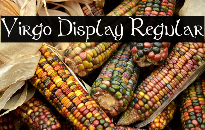 Virgo Display Regular Example 3