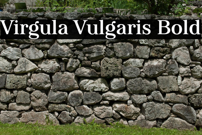 Virgula Vulgaris Bold Example 2