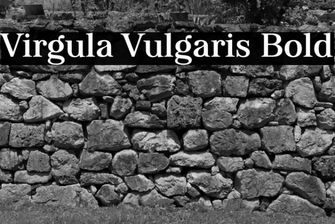 Virgula Vulgaris Bold Font examples