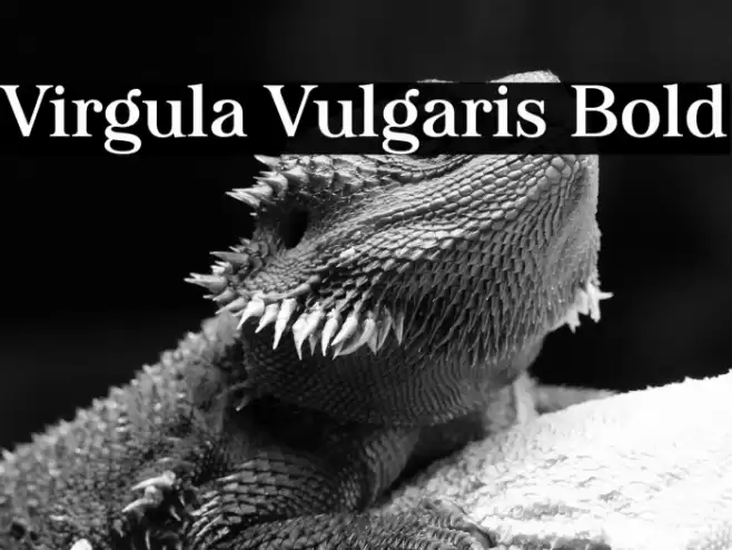 Virgula Vulgaris Bold Font examples