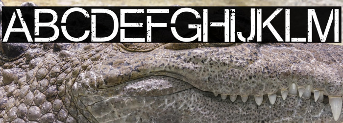 Virtual Bliss Example 2