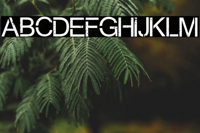 Virtual Bliss Example 3