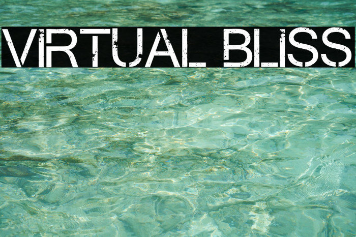 Virtual Bliss Example 1