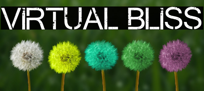 Virtual Bliss Example 3