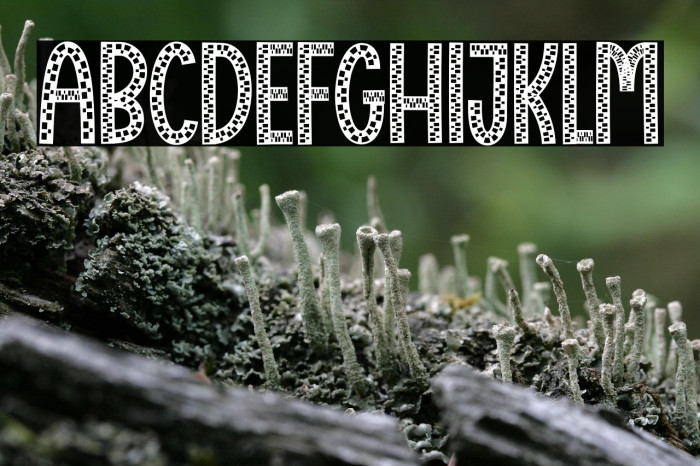 Virtual Piano Example 2