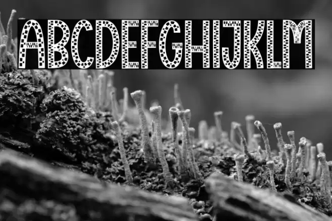 Virtual Piano Caratteri examples