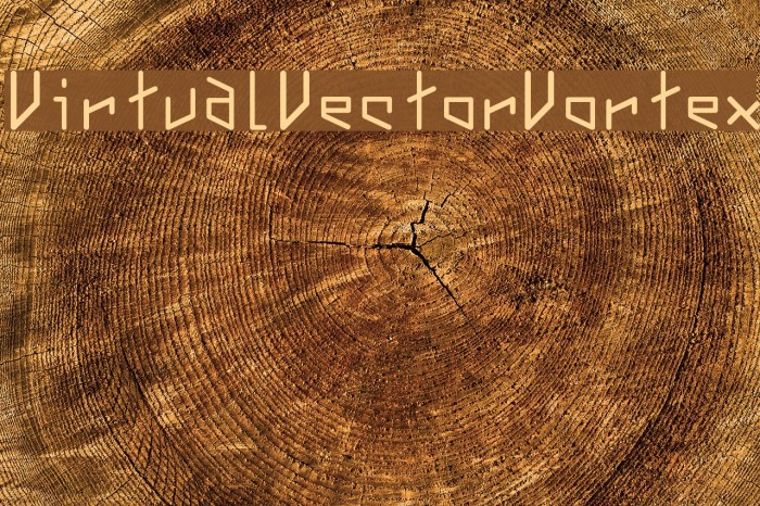 VirtualVectorVortex Font examples