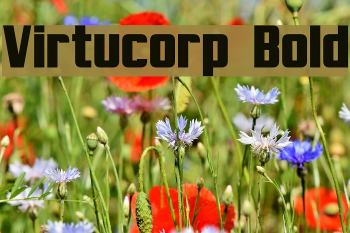 Virtucorp Bold Font examples