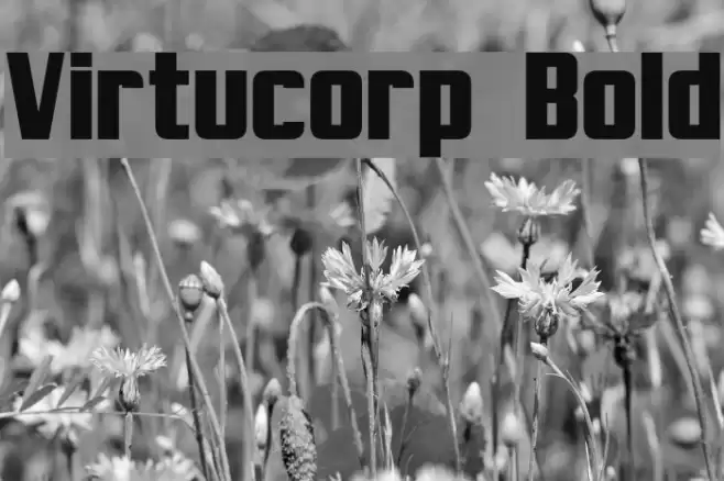 Virtucorp Bold Font examples