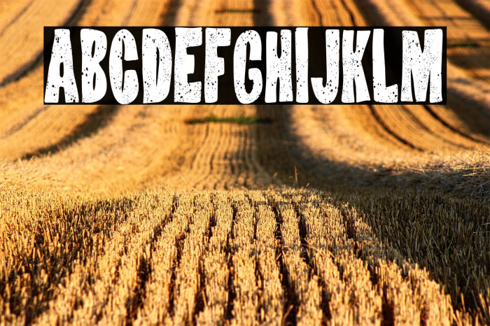 Virus Socialista Example 2