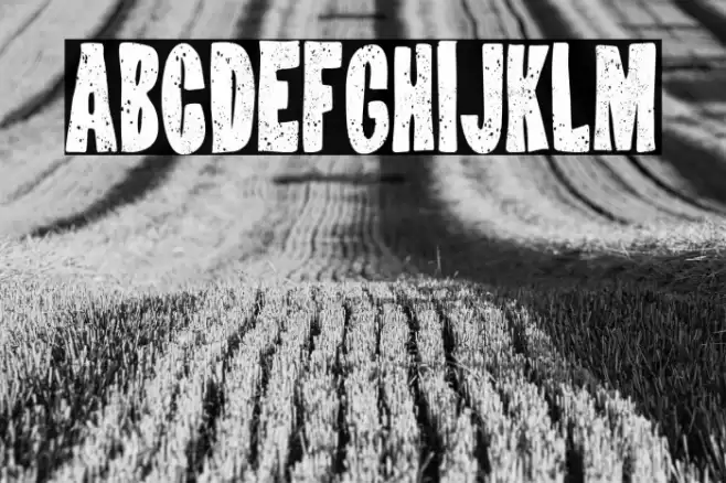 Virus Socialista Font examples