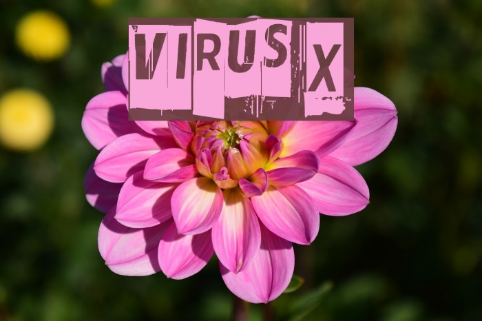Virus X Font examples