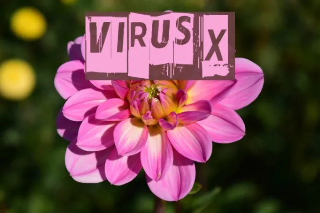 Virus X Example 2