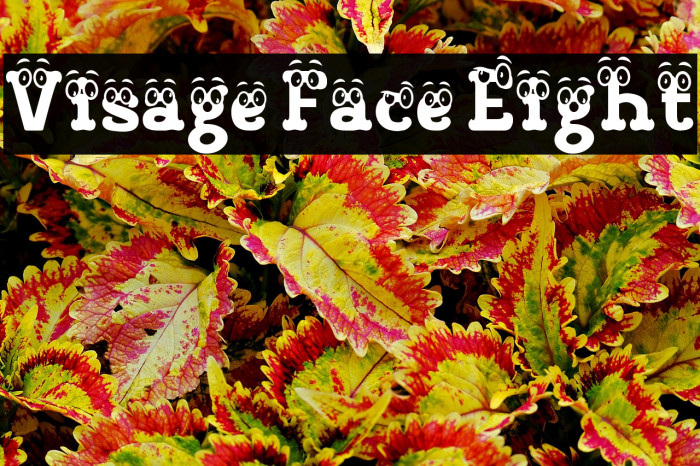 Visage Face Eight 字体 examples